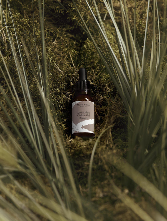 Antioxidant Ginkgo Gel Booster